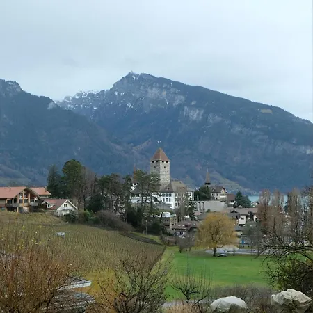 Apartmán Erica Spiez